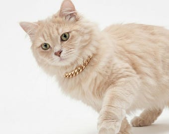 Gold Cat & Dog Collar Chain with Tag: Personalized Pet Necklace Jewelry Gift