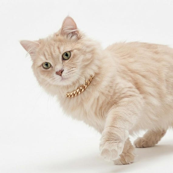 Gold Cat & Dog Collar Chain with Tag: Personalized Pet Necklace Jewelry Gift