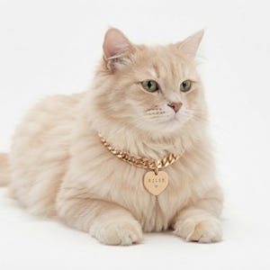 May include: A gold-toned metal chain collar featuring a heart-shaped pendant. The pendant is engraved with the name RILEY and a small heart symbol. The collar is worn around the neck of a long-haired, light cream-colored cat with green eyes.