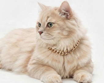 Personalized Gold Plated Chain Pet Collar with Custom Tag