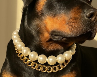 Custom Pearl & Gold Dog Collar with Name Tag: Elegant Pet Necklace