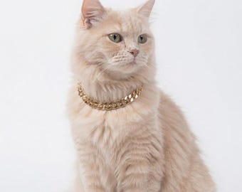 Gold Plated Aluminum Cat & Dog Collar Necklace Chain: Lightweight Custom Pet Jewelry Gift