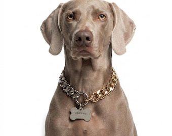 Gold-Silver Cuban Link Dog Collar Necklace with Pet Tag: Handmade Custom Pet Jewelry