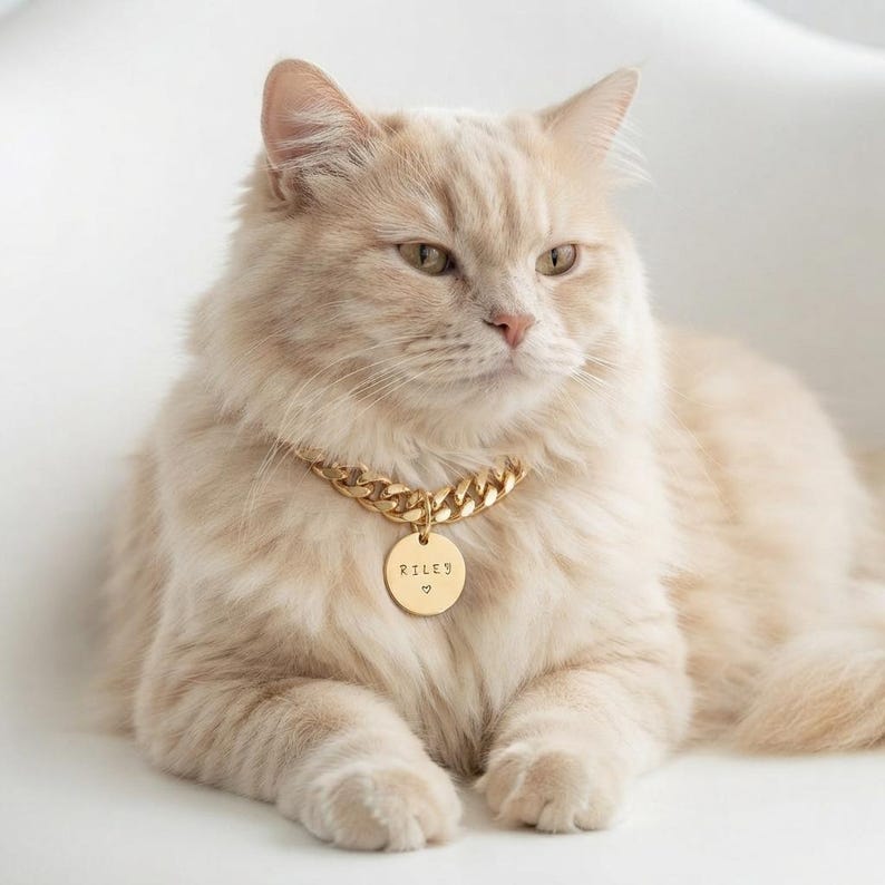 Gold Cat & Dog Collar Chain with Tag: Personalized Pet Necklace Jewelry Gift image 3