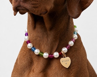 Colorful Pearl Dog Collar Necklace with Gold Tag: Personalized Pet Jewelry Birthday Gift