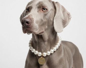 Personalized Pearl Dog & Cat Collar Necklace: Faux Pearl Pet Jewelry Gift Accessory