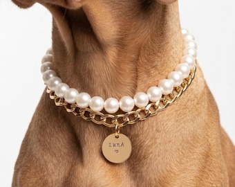 Gold Chain Pearl Dog Collar – Luxury Beaded Dog Necklace, Elegant Pet Jewelry Gift