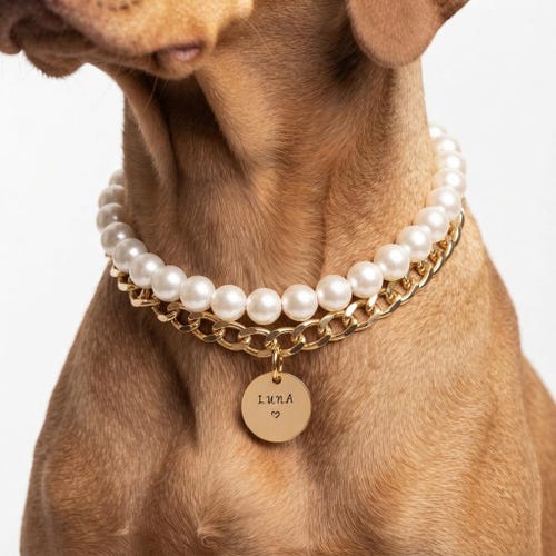 Gold Chain Pearl Dog Collar – Luxury Beaded Dog Necklace, Elegant Pet Jewelry Gift
