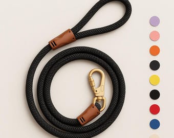 Braided Rope Dog Leash: Strong, Eco-Friendly, Gold/Silver Clip