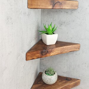 May include: Three wooden corner shelves with triangular shapes. The shelves are stained a dark brown color and are mounted on a light gray wall. Each shelf has a small potted succulent plant on it.