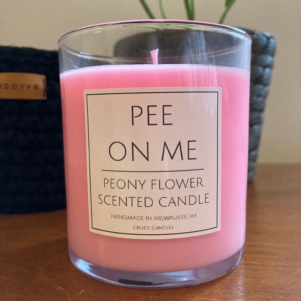 Inappropriate Candle Etsy