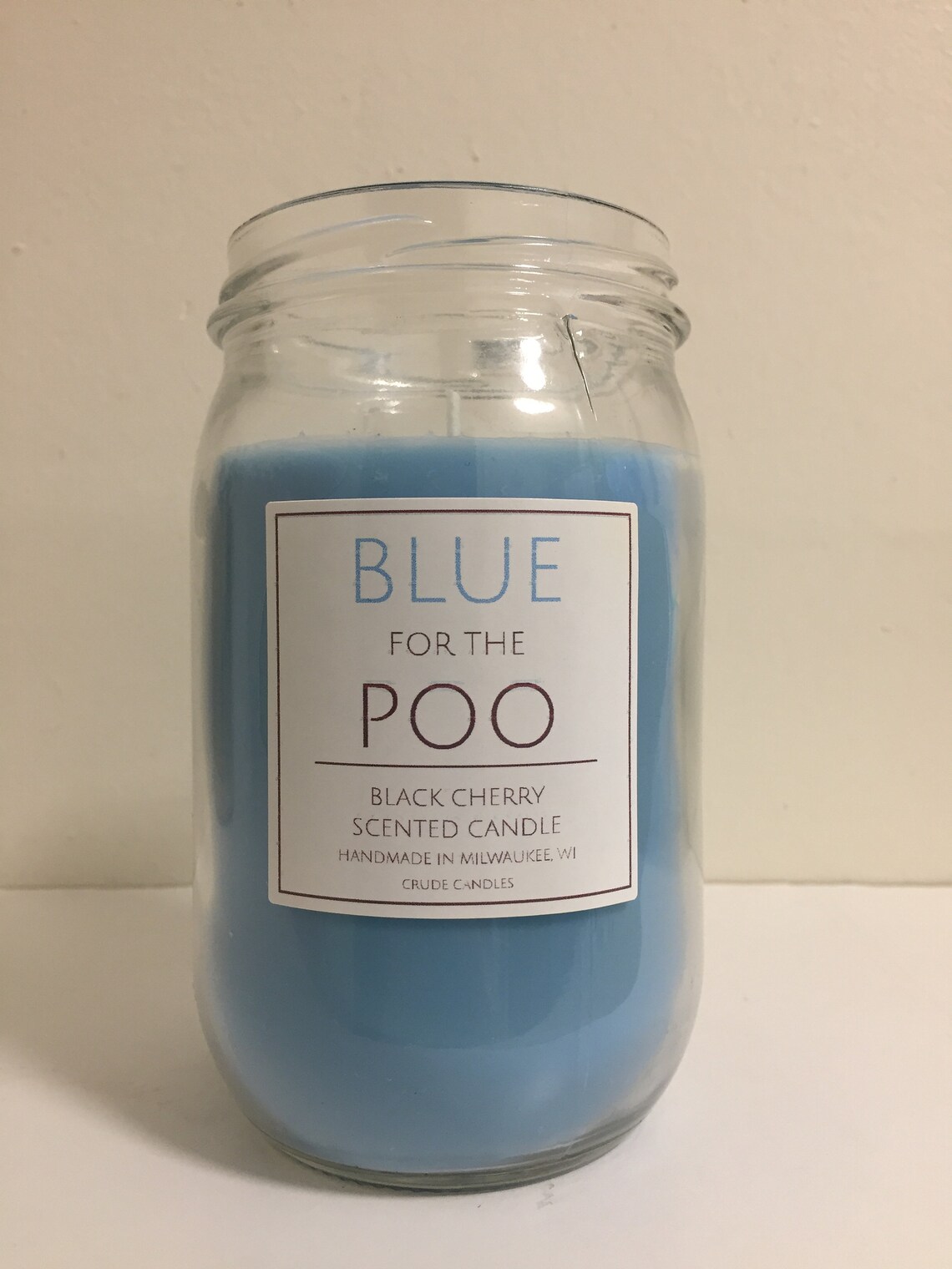 16oz Blue for the Poo Mason Jar. Bathroom Candles. Pick Your Etsy