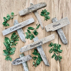 May include: Five wooden plant markers with handwritten names: Basil, Coriander, Chives, Rosemary, and Mint. The markers are arranged on a light brown wooden surface with green leafy plants scattered around them.