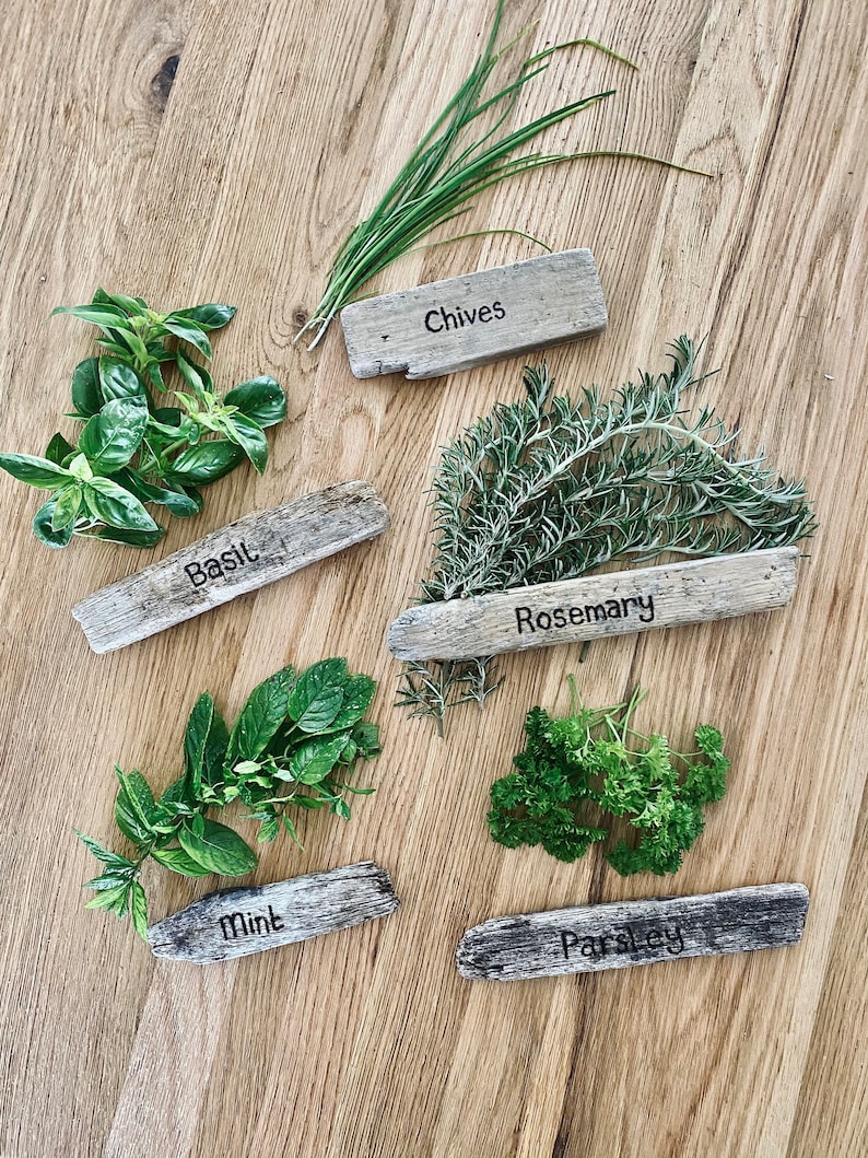 Puede incluir: Seis tipos diferentes de hierbas se muestran en una superficie de madera. Cada hierba est&aacute; etiquetada con un letrero de madera: cebollino, albahaca, romero, menta, perejil.