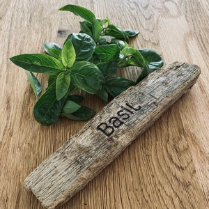 Puede incluir: Un letrero de madera desgastado con la palabra "Basil" tallada en &eacute;l. Hojas de albahaca verdes frescas est&aacute;n junto al letrero sobre una superficie de madera.