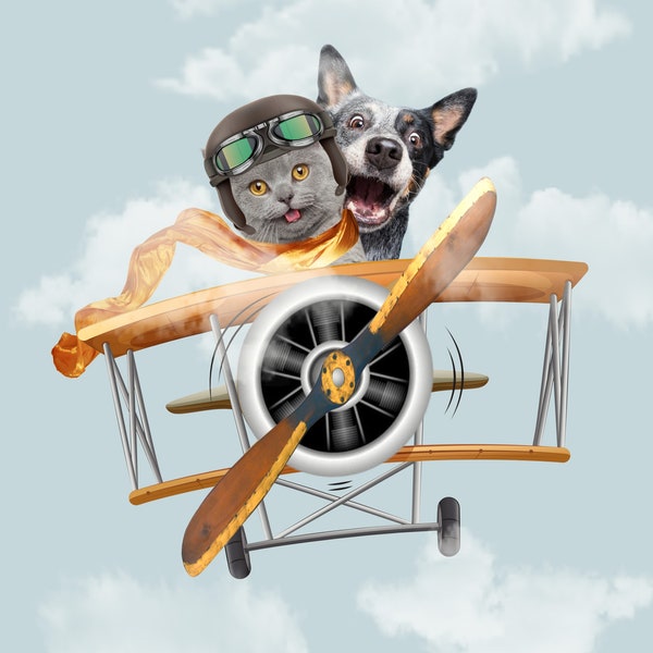 Custom Pet Portrait plane photo funny Custom Dog flying Pet Print Animal in a airplane Art Personalized gifts Pet Gift Pet gift mom daddy