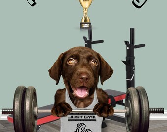 Custom Pet Portraits in the Gym Funny Dog or Cat Portrait Pet in Crossfit Dog in Gym Personalized pet gift dumbbles Mother's day gift 2023