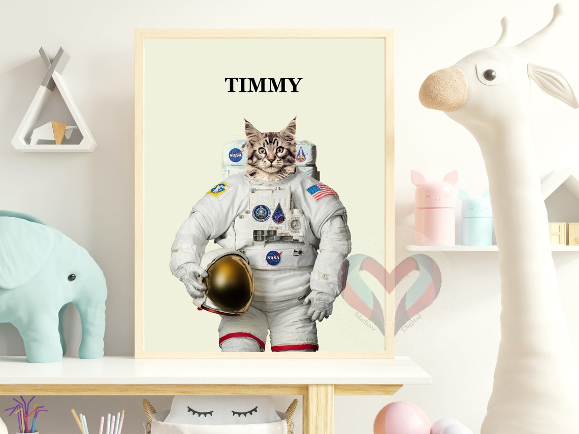 gato vestido de la astronauta NASA, meliav.com