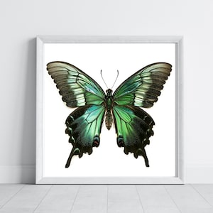 Green Butterfly Oil Painting Original Premium Matte Poster Print - Nature Art Decor