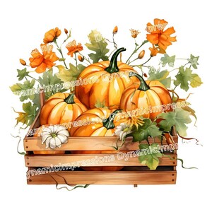 Kürbis Clip Art | Blumen Aquarell Herbst Kürbis Patch Clip Art | Frisch gepflückte Kürbisse | Herbst Ernte SVG Download | png, pdf, jpg, svg
