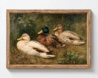 Rustieke natuurkunst: 3 wilde eenden, ingelijste olieverfschilderij