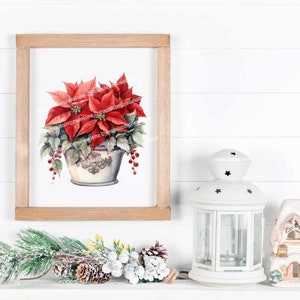 Festive Potted Poinsettias | Poinsettia PNG | Christmas Poinsettias Clipart | Christmas Clip Art PNG | Instant Download | jpg pdf svg png