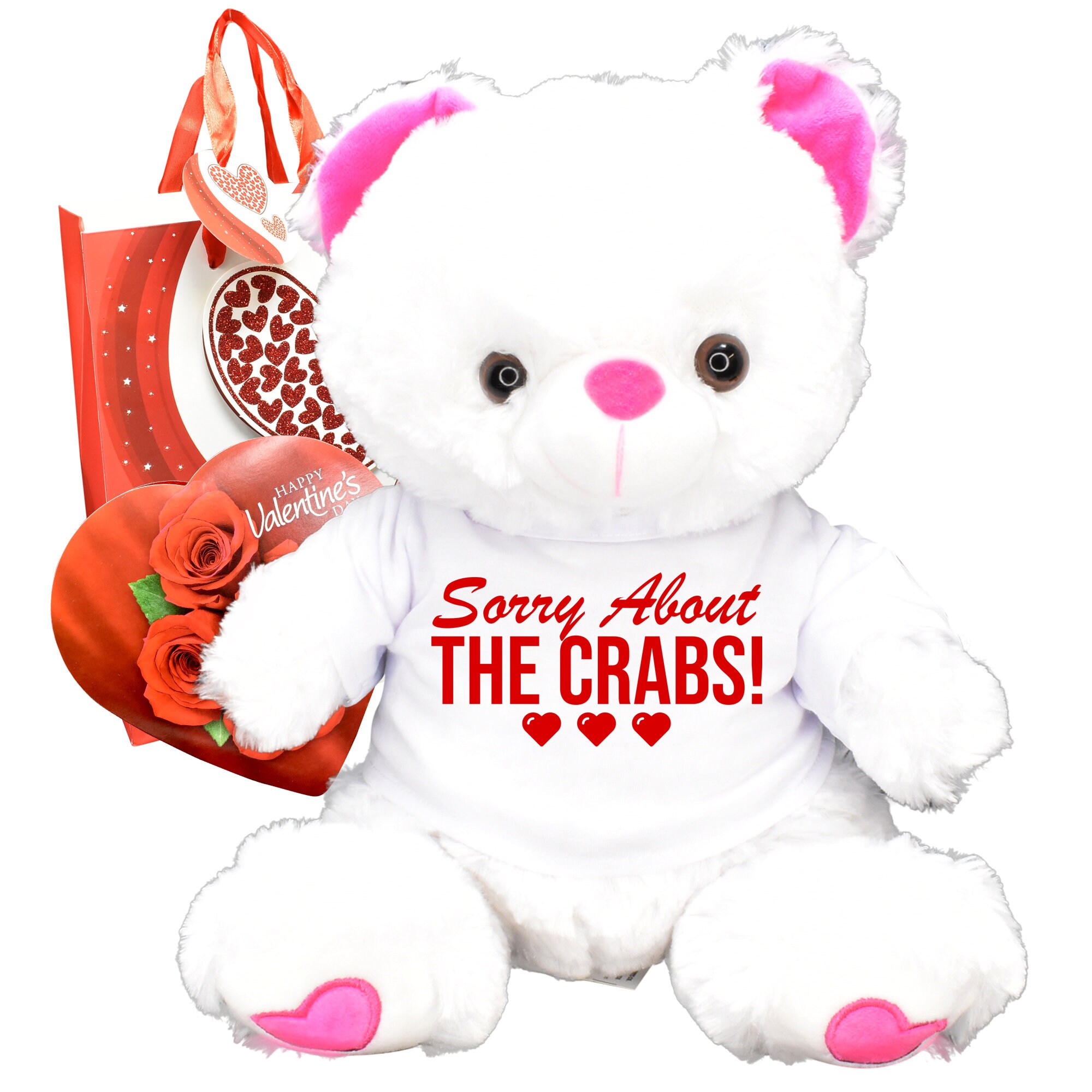 valentines day teddy for him