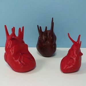 Daedra Heart from Skyrim | Daedric Relic | 2 sizes | Hand Painted | 3D Printed