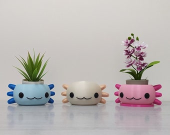 Axolotl Planter | Axolotl Home Decor | Desk Buddy | Axolotl Desk Organizer | Multiple Colors | 3D Printed