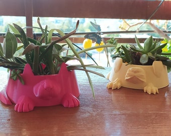 Dog and Cat Planters | Dog and Cat Bowls | Multiple Colors | 3D Printed