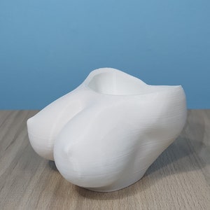Female Naked Breasts Planter (mature) | Multiple Colors | 3D Printed