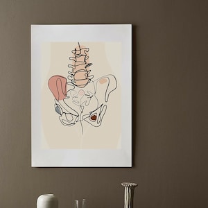 Pelvis anatomy line art-Pelvic bone-Chiropractor Orthopedic surgeon gift -Abstract lumbar spine art print-Spine line drawing