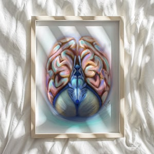 abstract brain and brainstem art print- neurology art-human brain art-neuroscience painting-Neuroscientist Neurosurgeon Neurologist gift