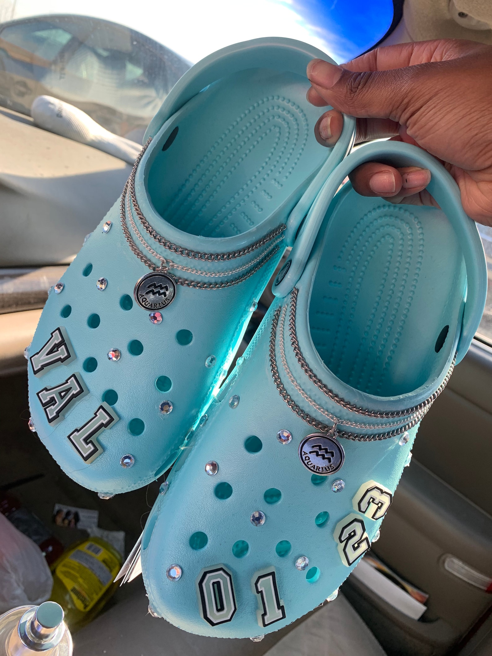 triassic crocs