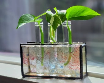 Small Stained Glass Test Tube Plant Propagation Holder