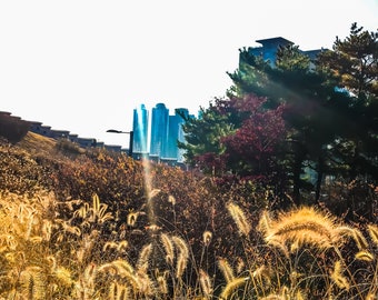 Seoul landscape