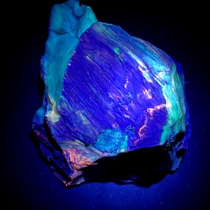 UV Fluorescent Opalized Petrified Wood | Nevada Fossil Display | Glows Under UV | 4x3x2 Inches | 1 lb