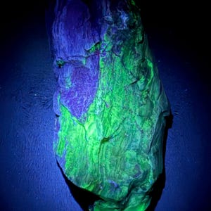 Opalized Petrified Wood from Nevada | UV Reactive Fossil Wood | 5” Specimen | Fluorescent Display Mineral | 1 lb