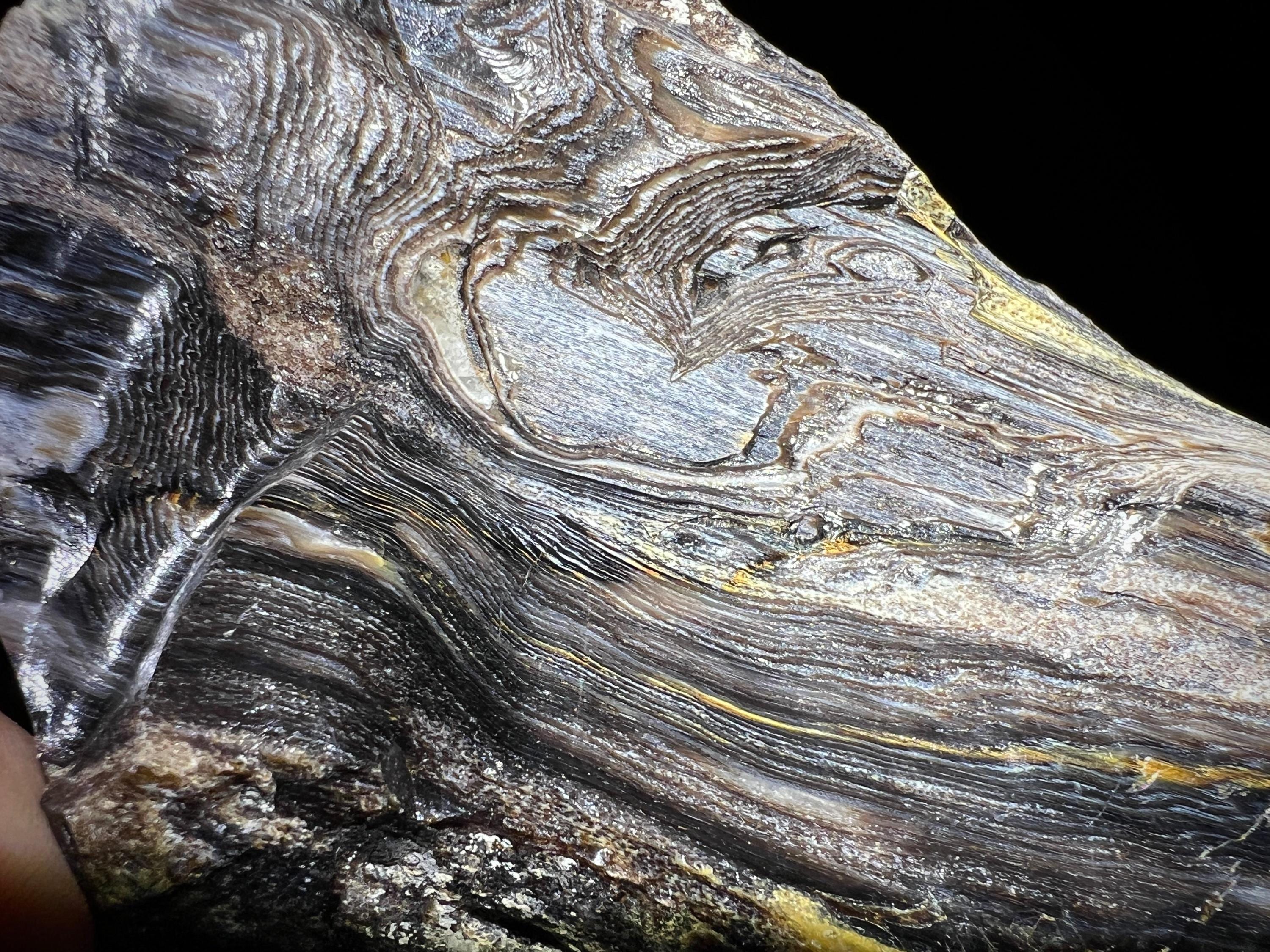 Rare Opalized Wood From Nevada 003 Etsy rare-opalized-wood-from-nevada-003-etsy