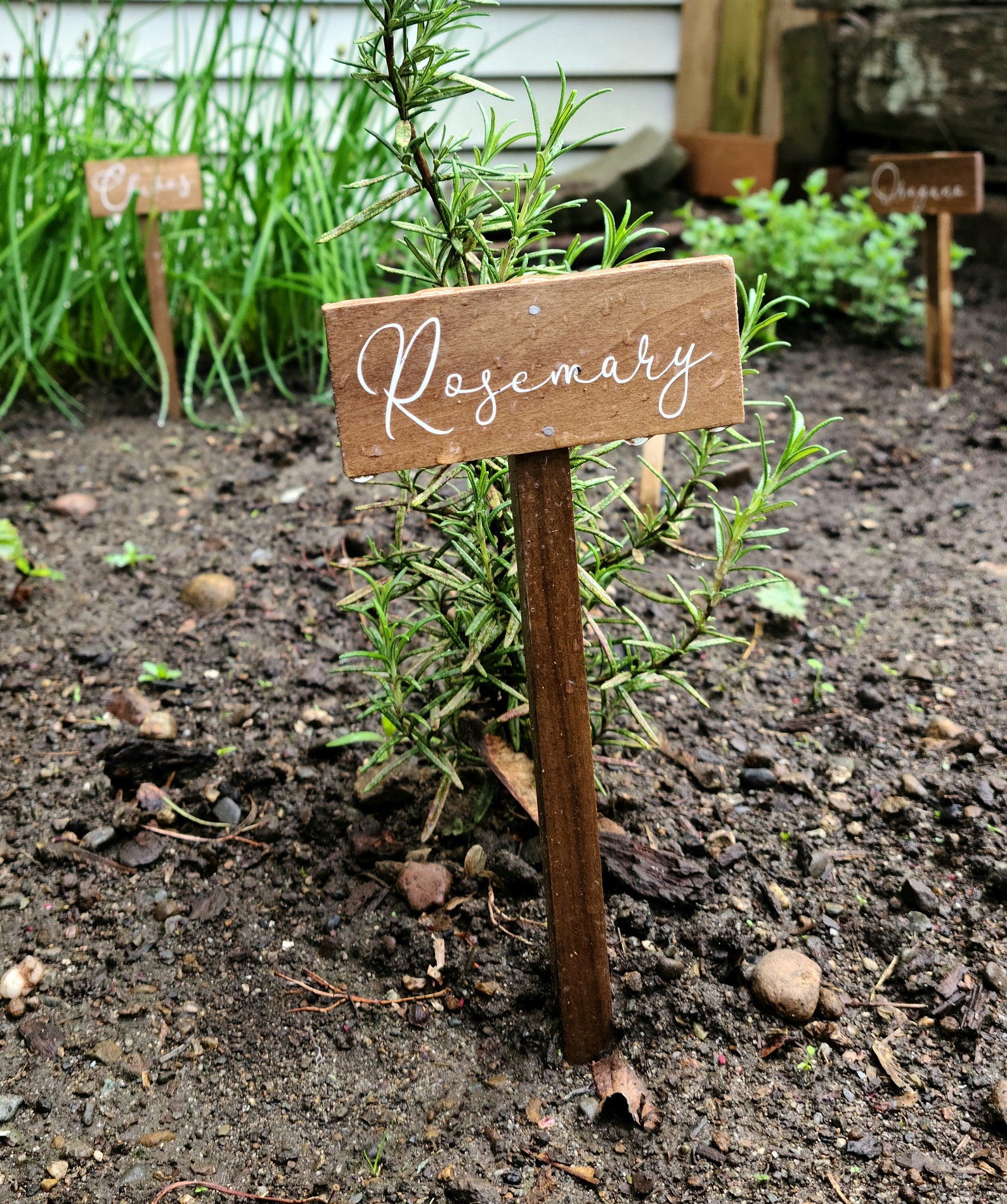 Medium Vegetable/Herb Garden Signs Etsy