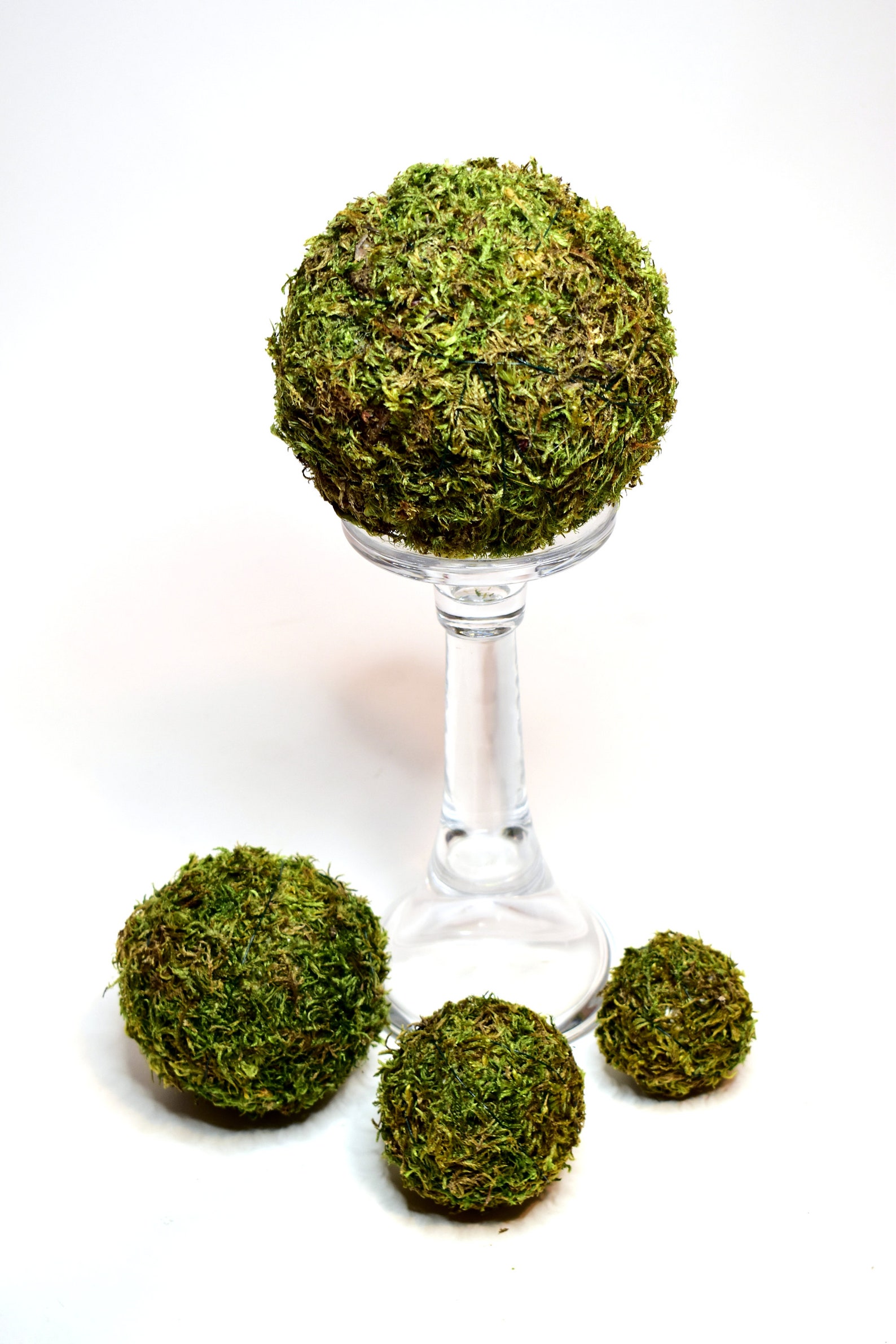 Moss Balls Decorative Spheres Dried Decore Etsy