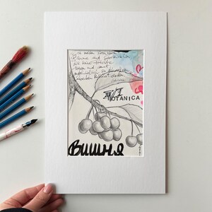 Wishnya III/V – Original Botanical Cherry Study, Bleistiftzeichnung mit Aquarell, Kirsch & Sakura Serie, signiert, mit Passepartout 20x30cm