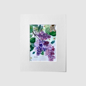 Aquarelle originale avec herbier de lilas et passe-partout 30 x 24 cm