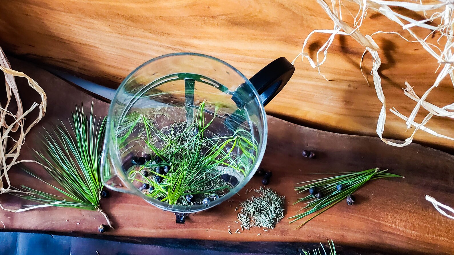 Premium Eastern White Pine Needle Tea Fresh AllNatural Etsy