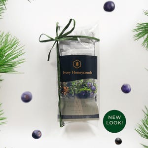Premium Pine Needle Tea with Juniper + Thyme | Original