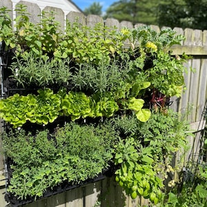 Outdoor Kitchen Garden- 2&#39;x3&#39;
