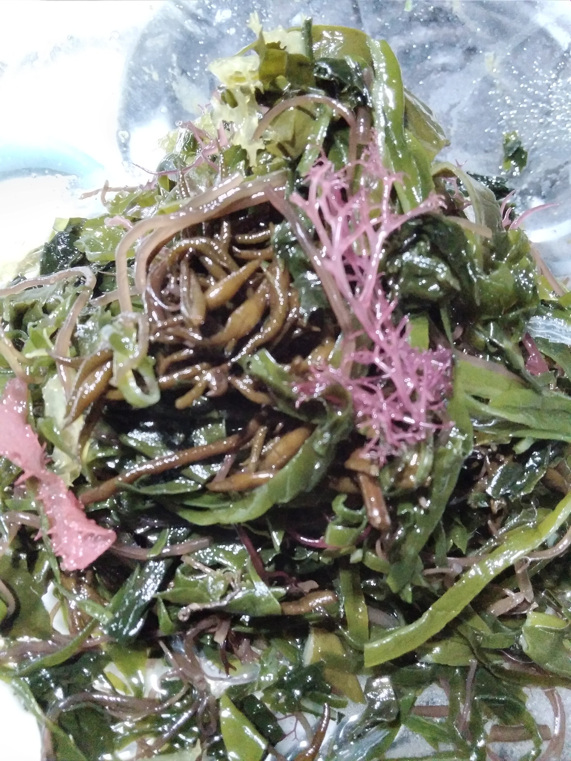 Mixed fresh seaweed 1lbs Etsy