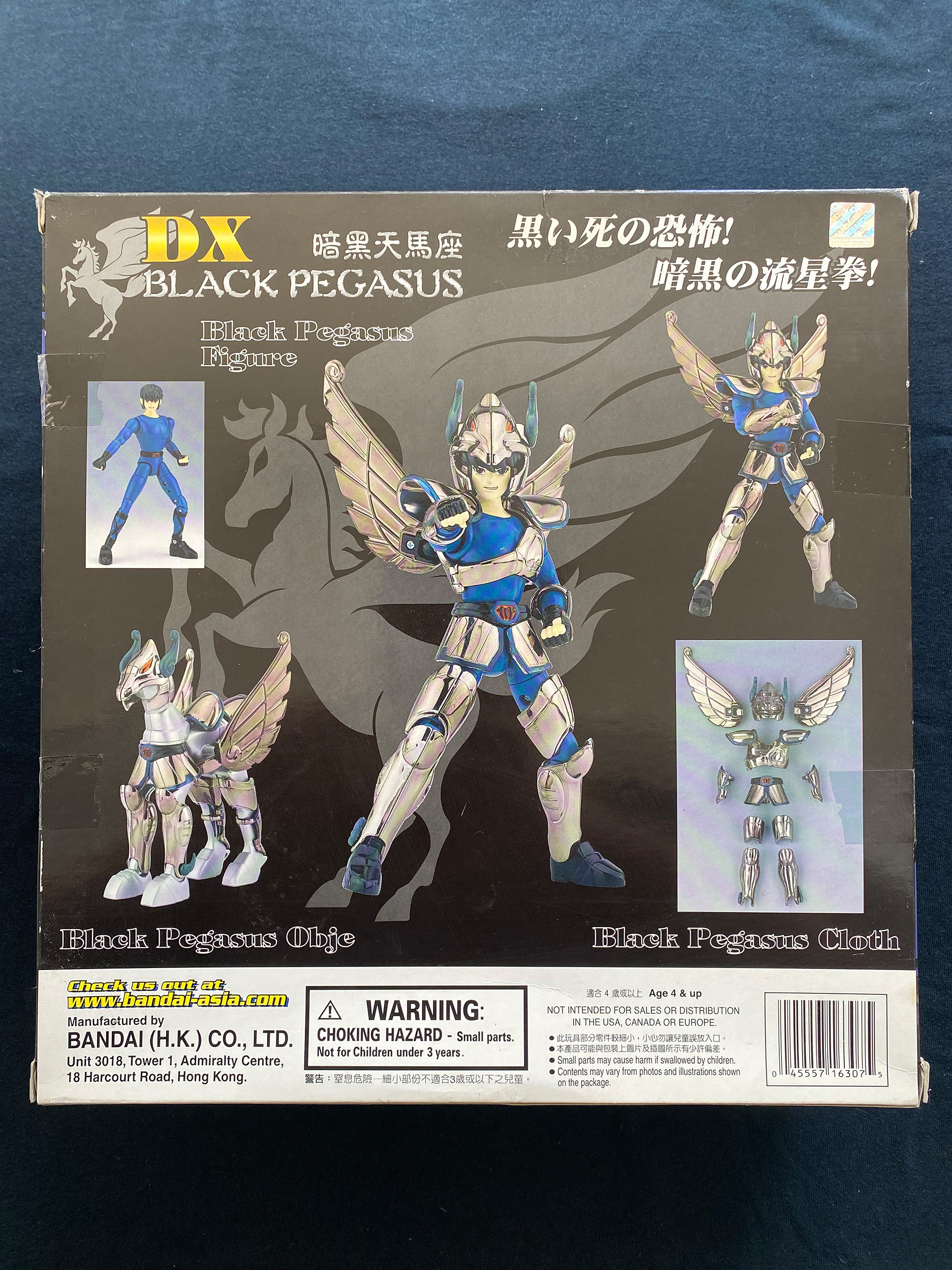 Vintage 2004 Bandai Saint Seiya Cloth Bronze DX Black Pegasus