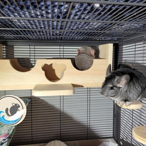 Chinchilla Bridge Hanging Tunnel 15&quot; w/4x5 Ledge Option Back Mount Anywhere  15&quot; Bridge Kiln Dried Pine Hardware Chin Face Window