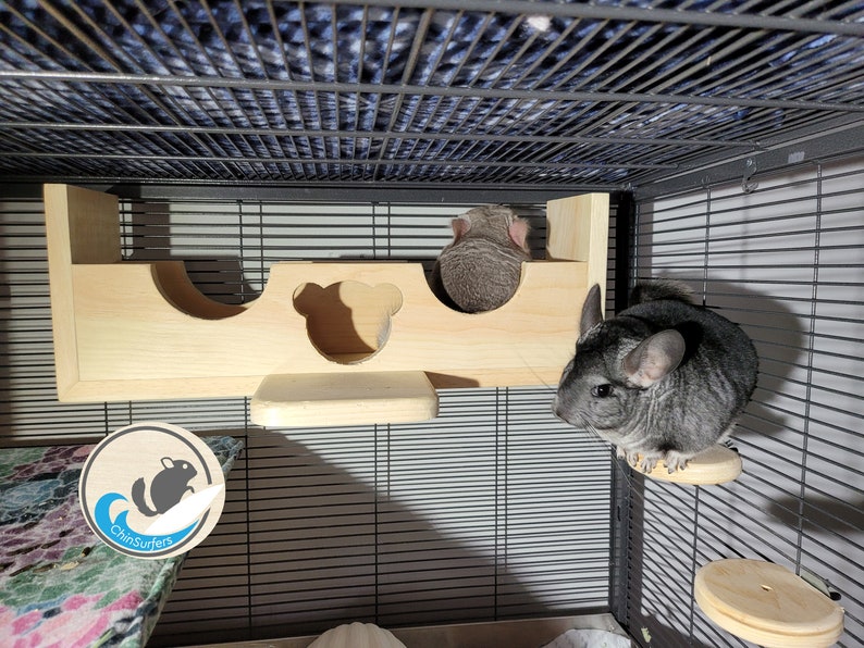 Puede incluir: Dos chinchillas grises en una jaula con una plataforma de madera y un t&uacute;nel de madera. La plataforma tiene un recorte en forma de cabeza de oso. La jaula tiene una pegatina en el lateral que dice "ChinSurfers".